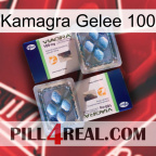 Kamagra Jelly 100 viagra5